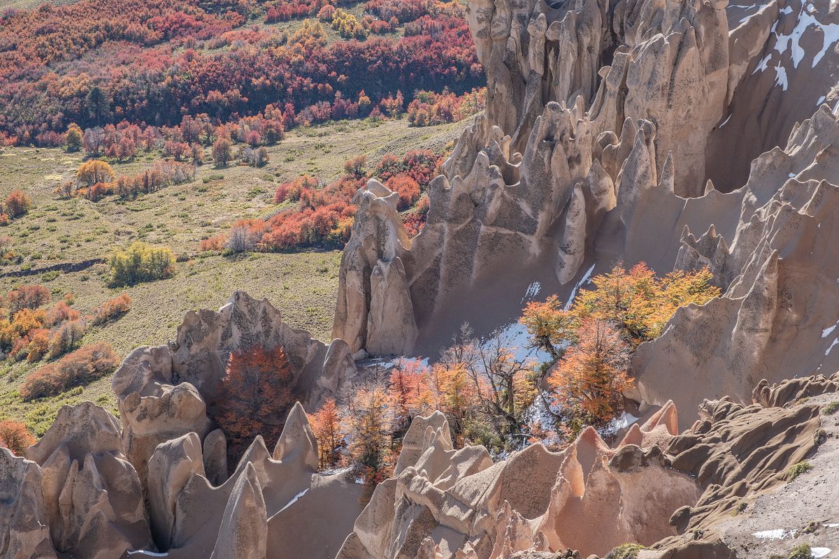 Otoño en Araucanía