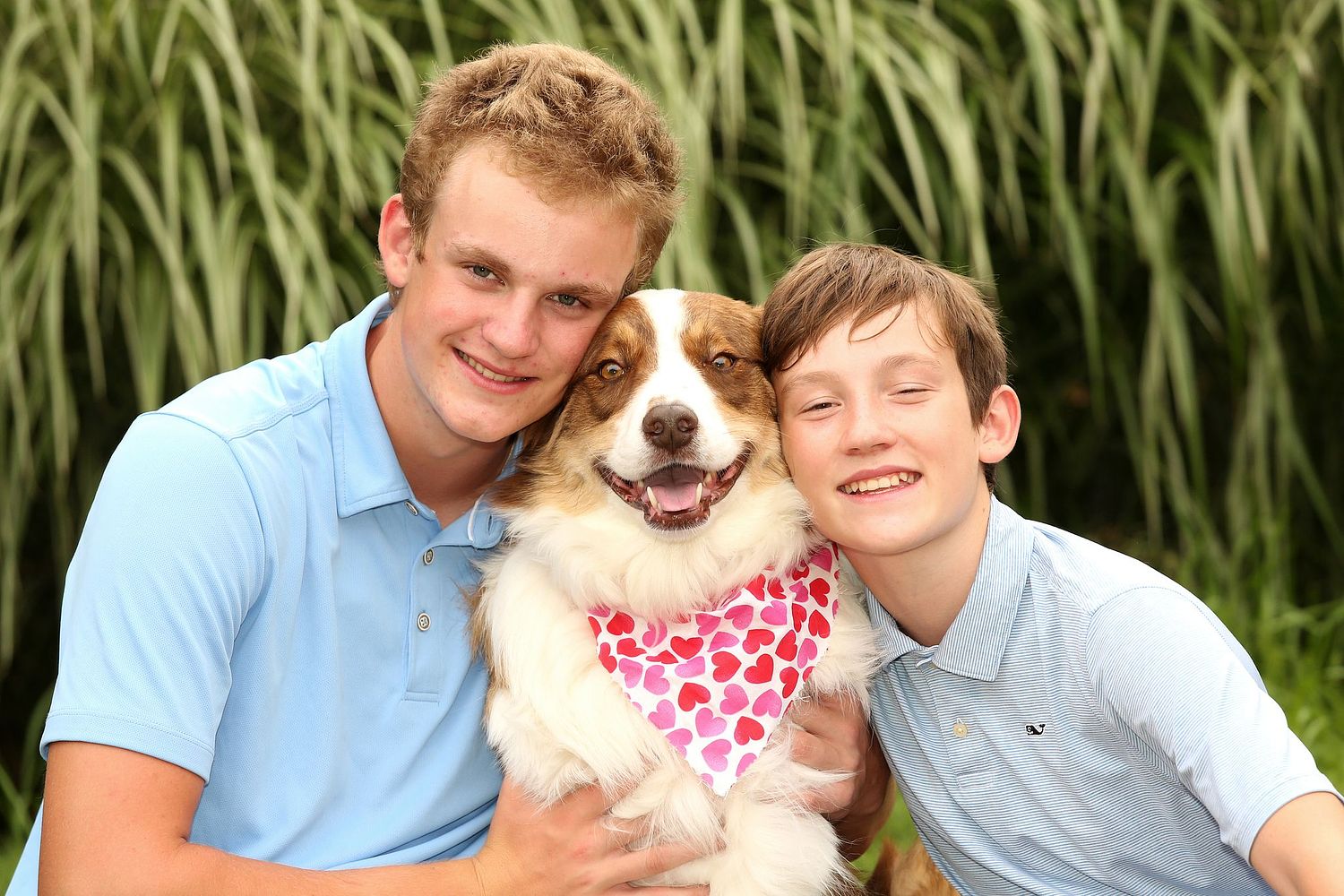 Forest Vibe Photography, Family and Pet Photography