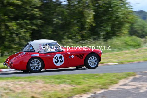 Austin Healey Richard Mason