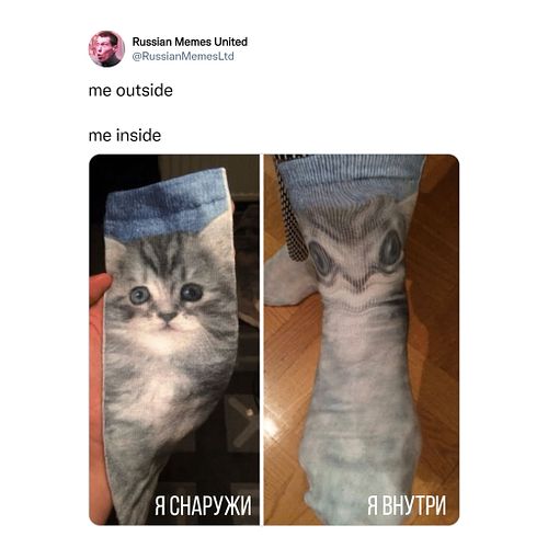 Why Memes Are Becoming the Saving Grace for Social Interaction of This Generation