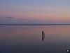 Midweek Oostelijke Waddenzee 5 dagen (4 - 8 mei 2026)