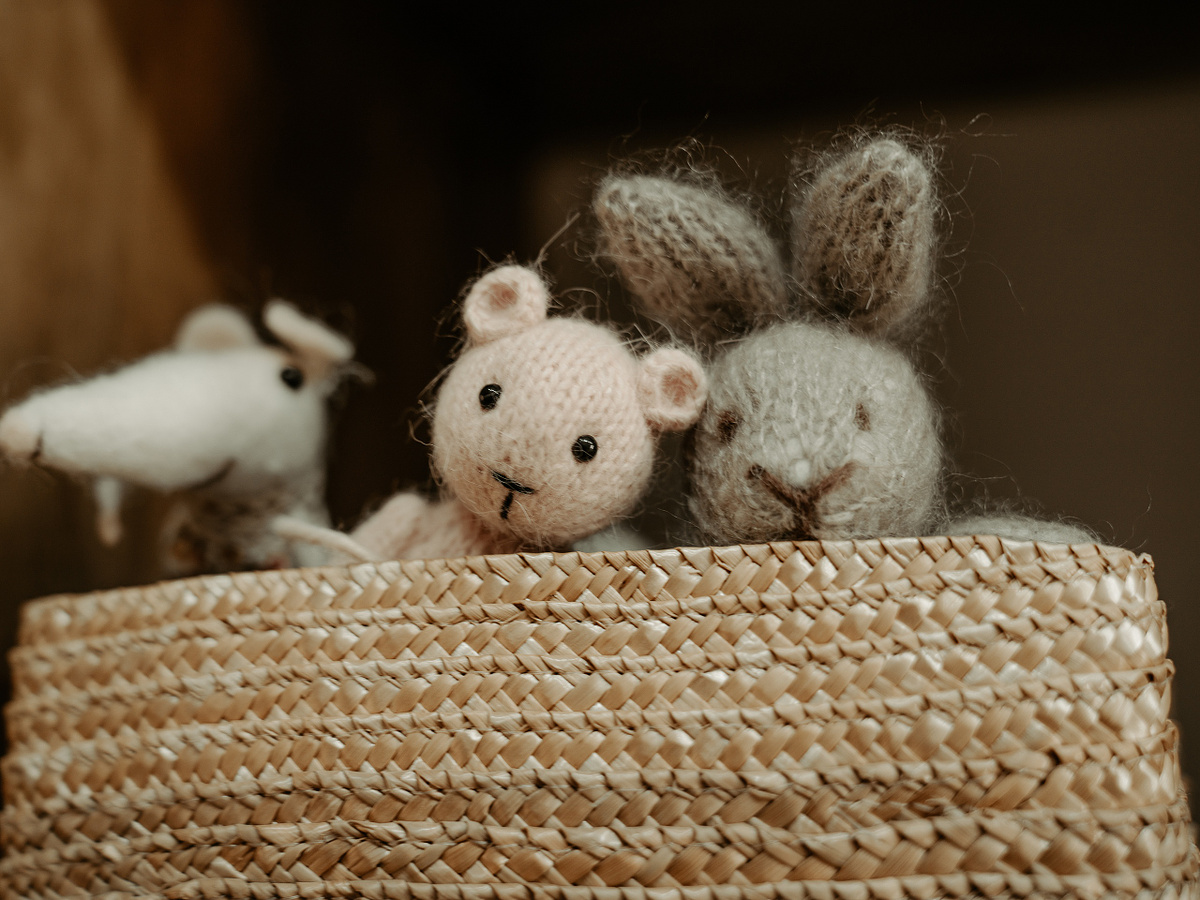 Hannah Willis Newborn photography props