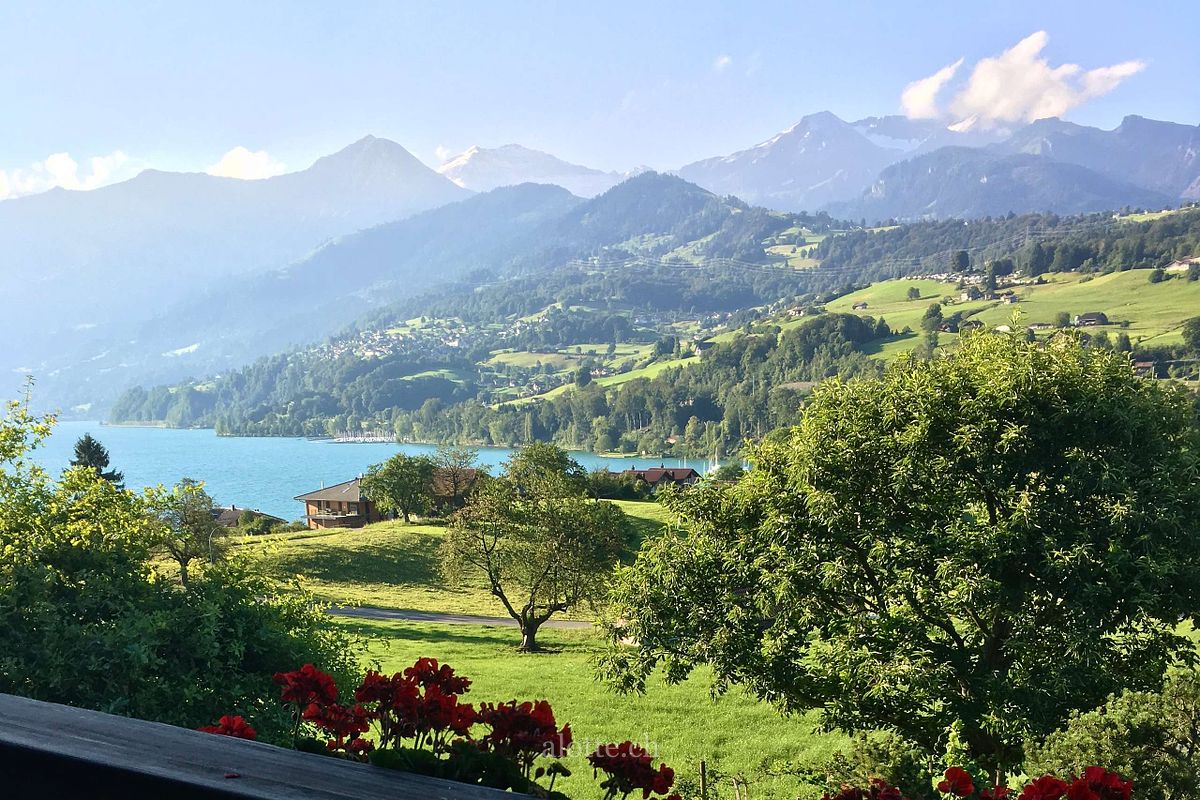 A view from Faulensee, Switzerland of the Alps by Martin Potter