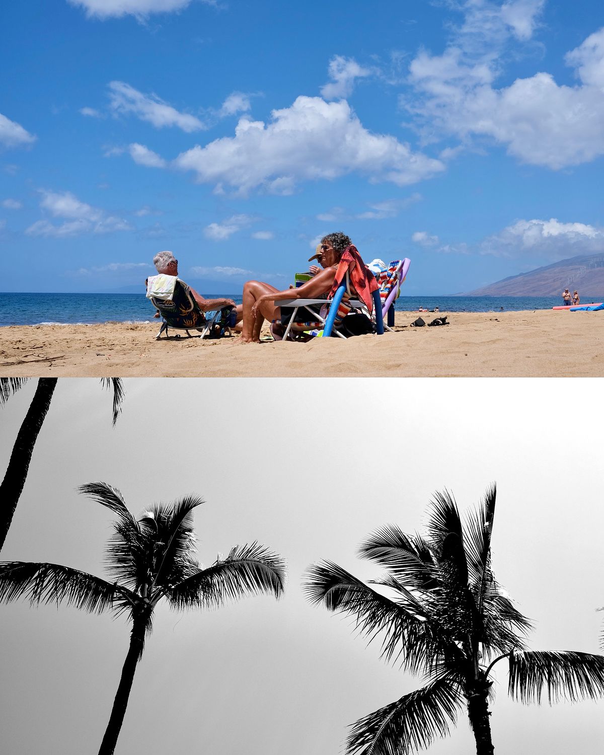 Collage of beachgoers and palm trees in Maui, Hawaii