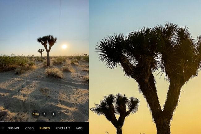 Советы по фотографии с iPhone