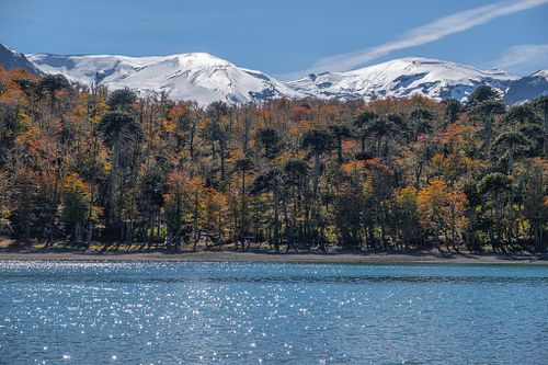 Tour Laguna Cochor - 1 día