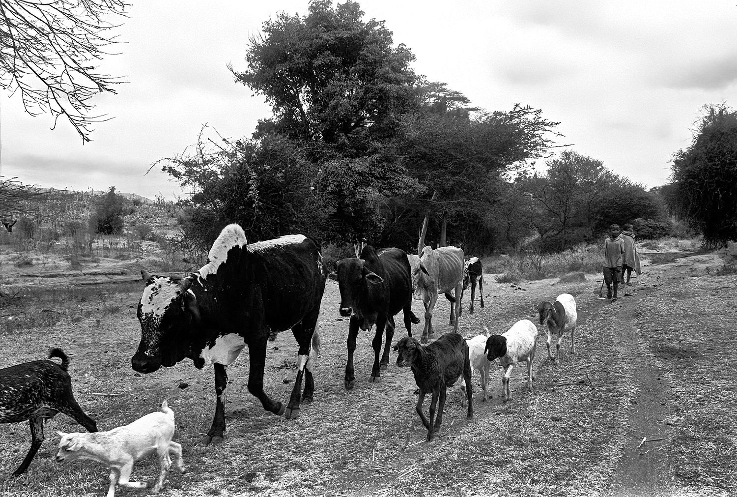 Tanzania | 2002