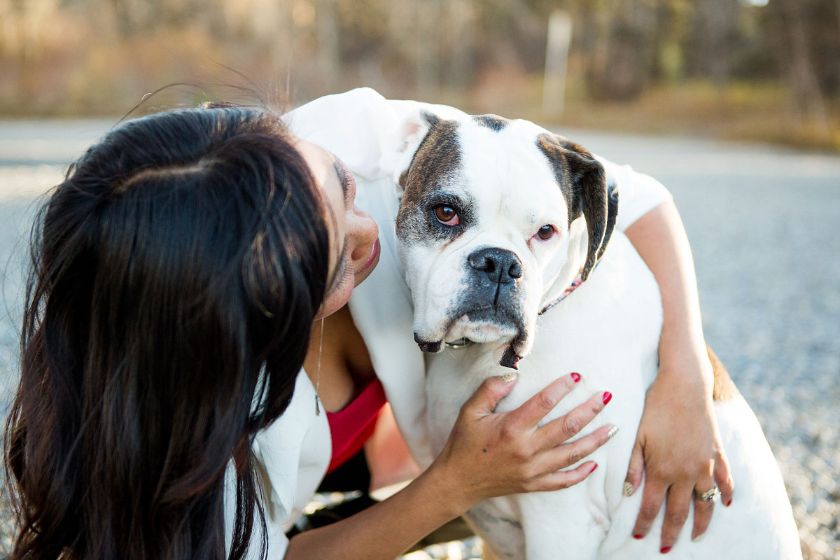 a calgary girl hugging her senior white boxer dog with a brindle eye patch