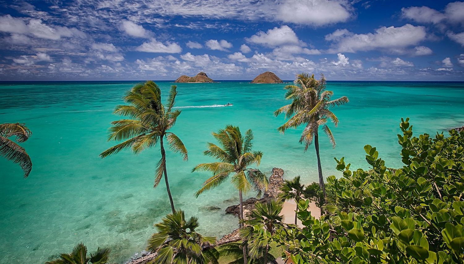 MIke Wiley Photography