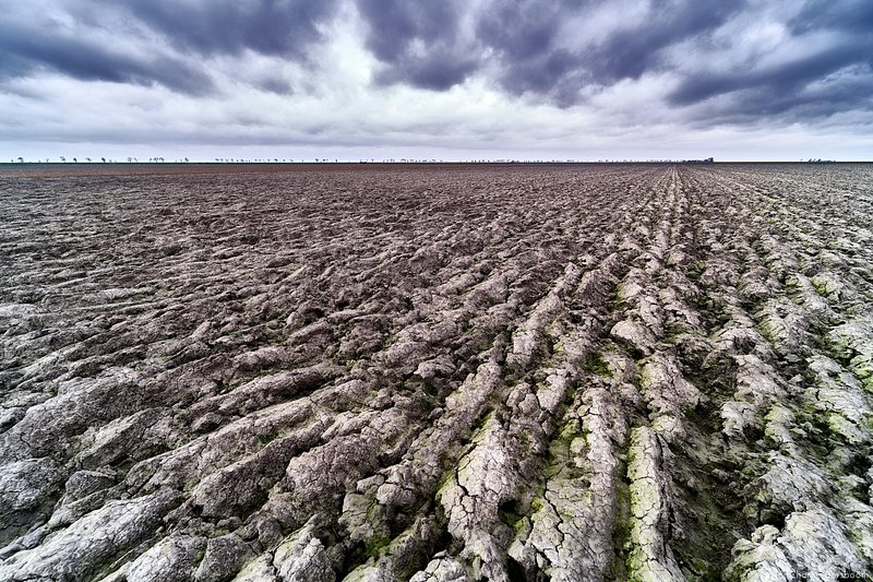 The Next Step (20 - 22 november 2026)