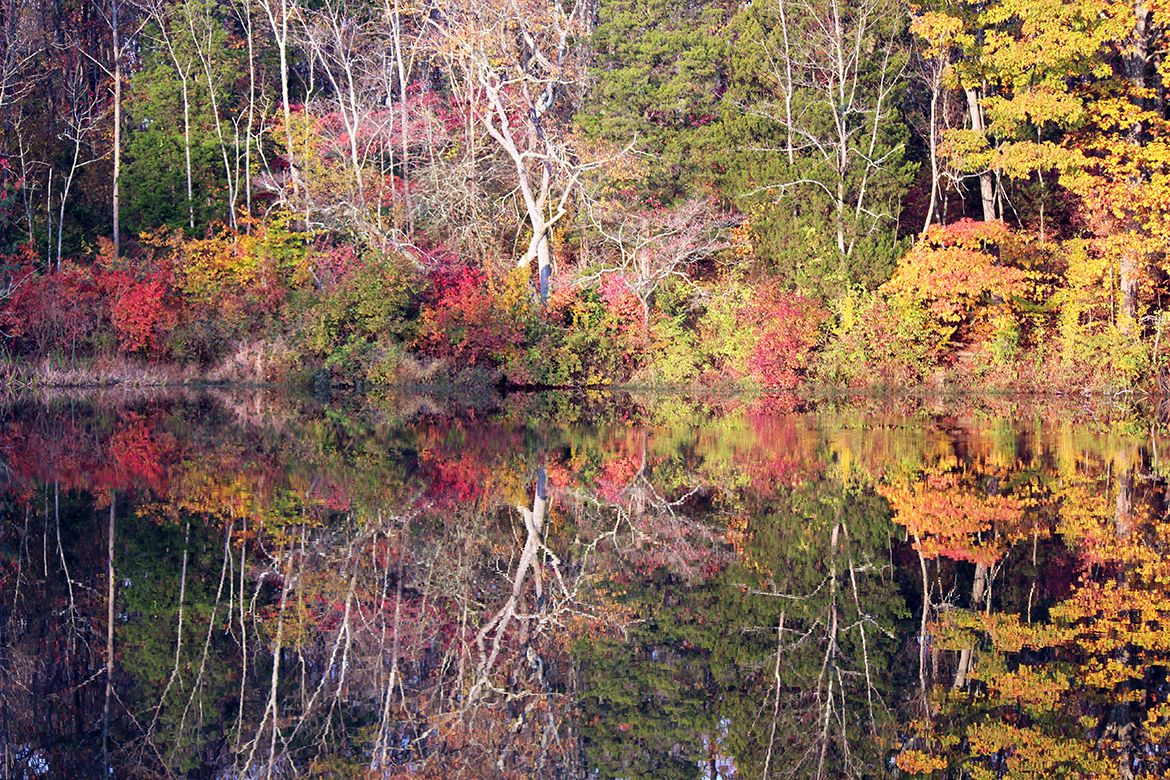 Linda Park Photography