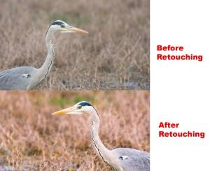 Retouching the photographs