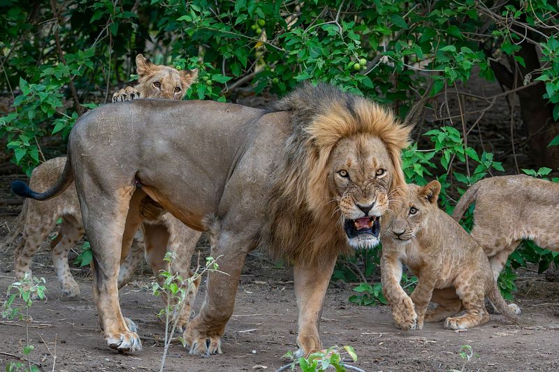 Dad is not the best babysitter...