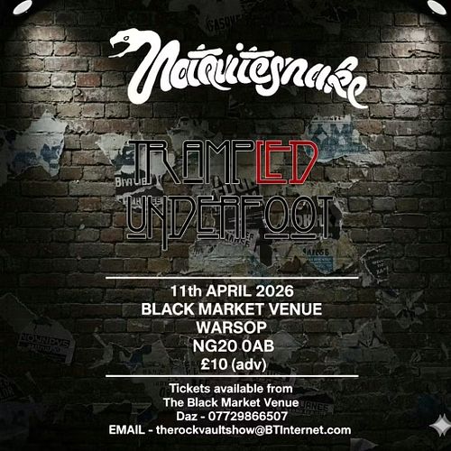 Whitesnake and Led Zeppelin at the black market venue