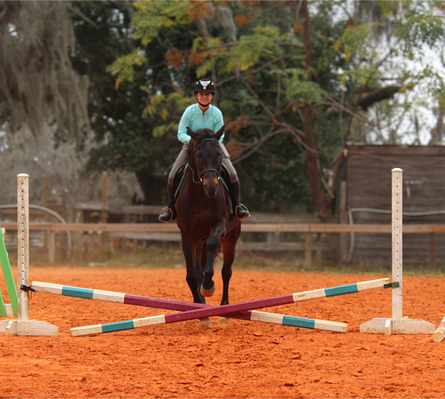 1 Digital Download Photo