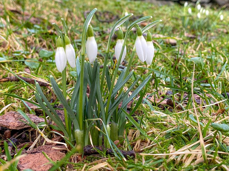 Er ute på oppdrag resten av dagen