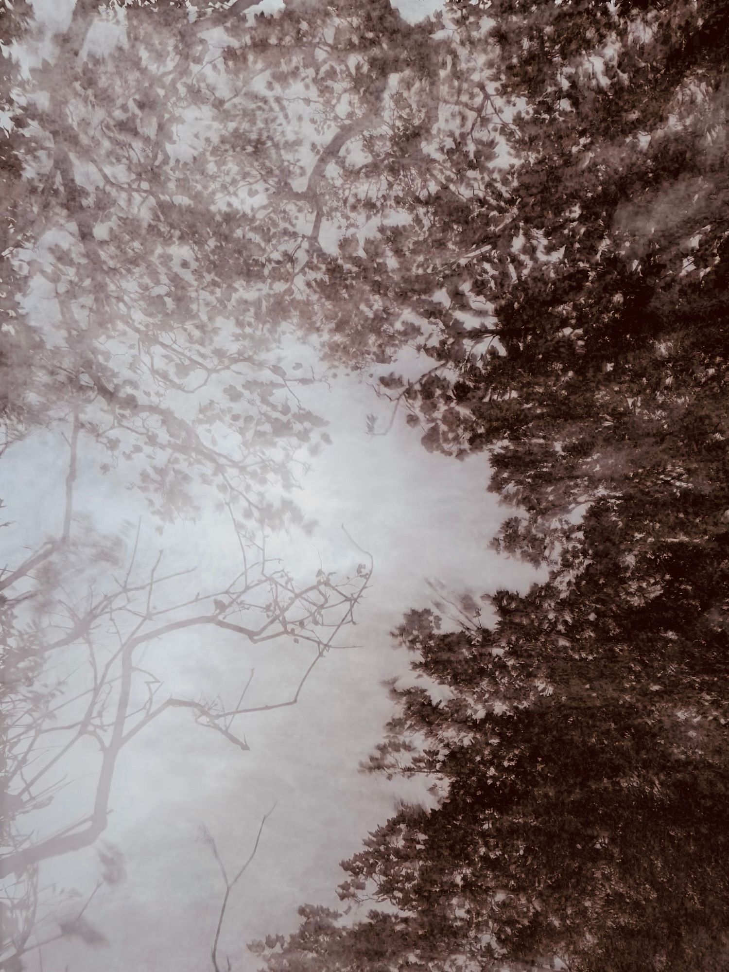 Pictures in Nature | Nat Spring Photography