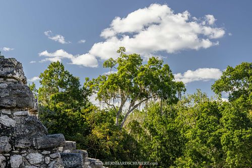 Calakmul Mayan site