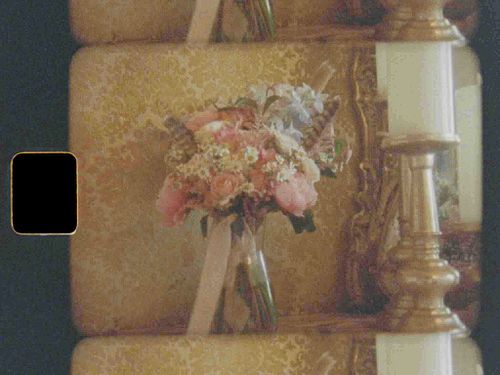 Film Photography & Super 8 Video