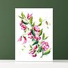 FINE ART PRINT Light Pink Sweet Peas