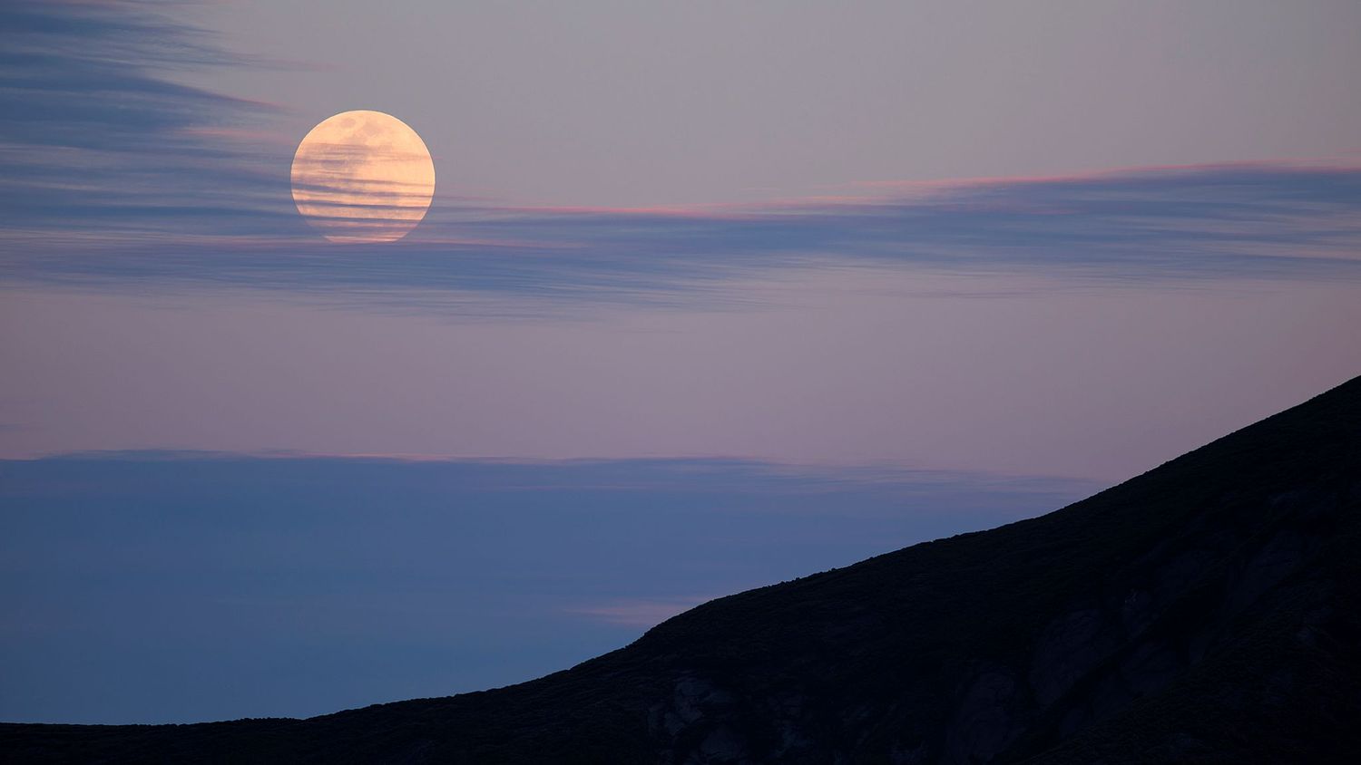 MIke Wiley Photography