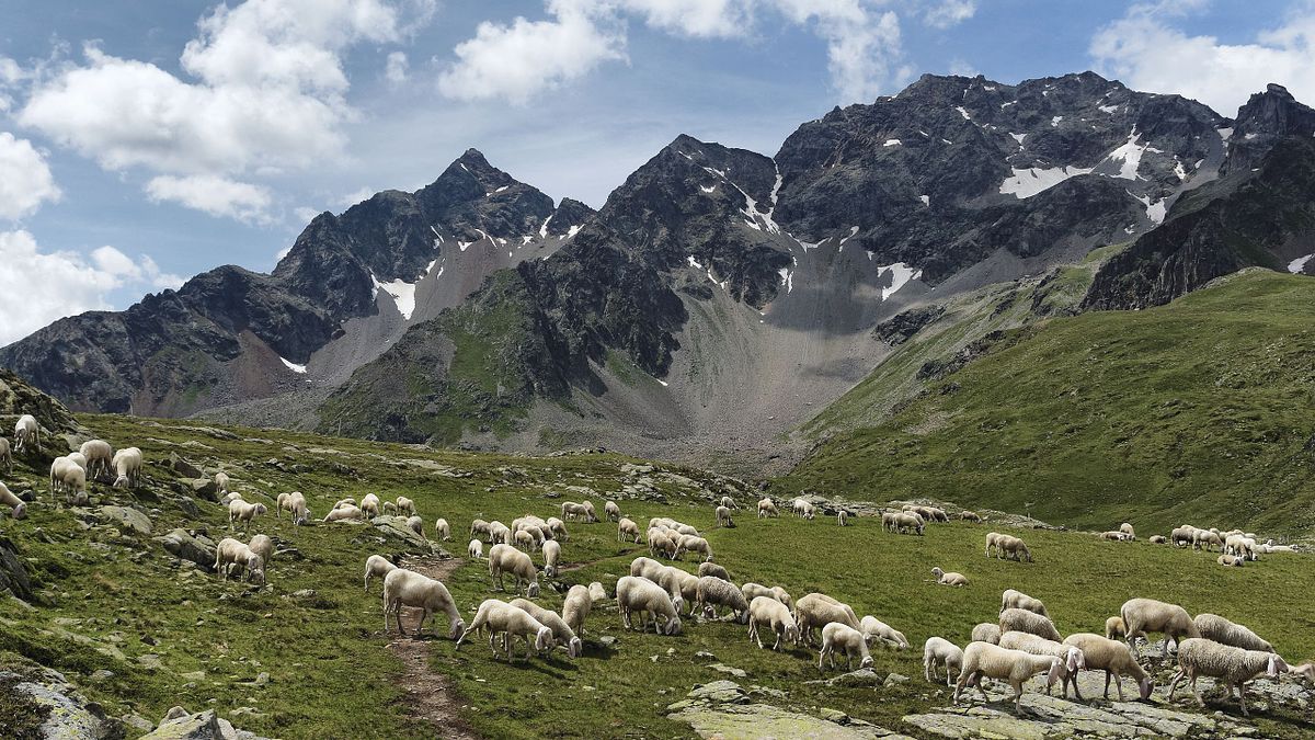 Kapelle Wilder Geschinen