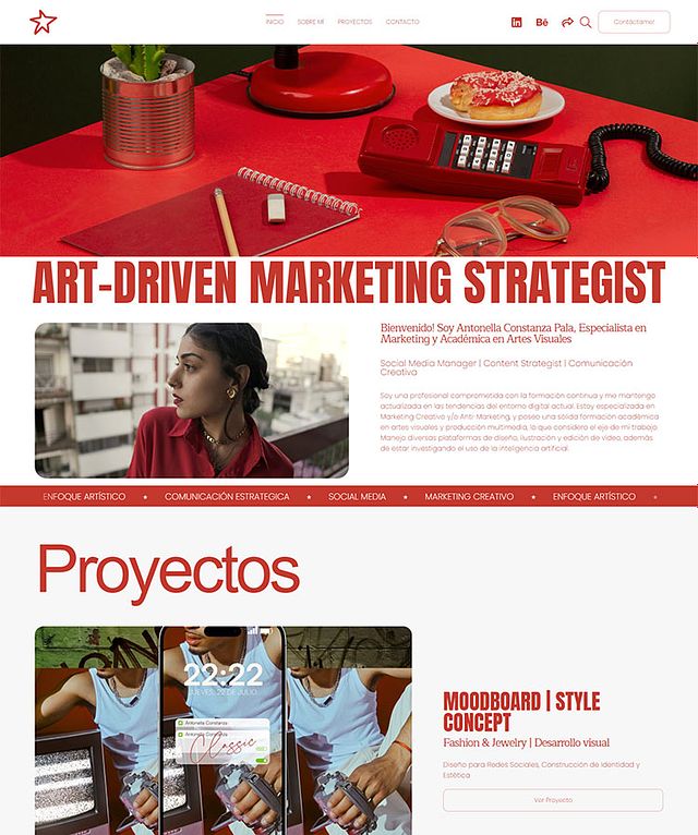 Antonella Constanza Pala  Portfolio Website Examples
