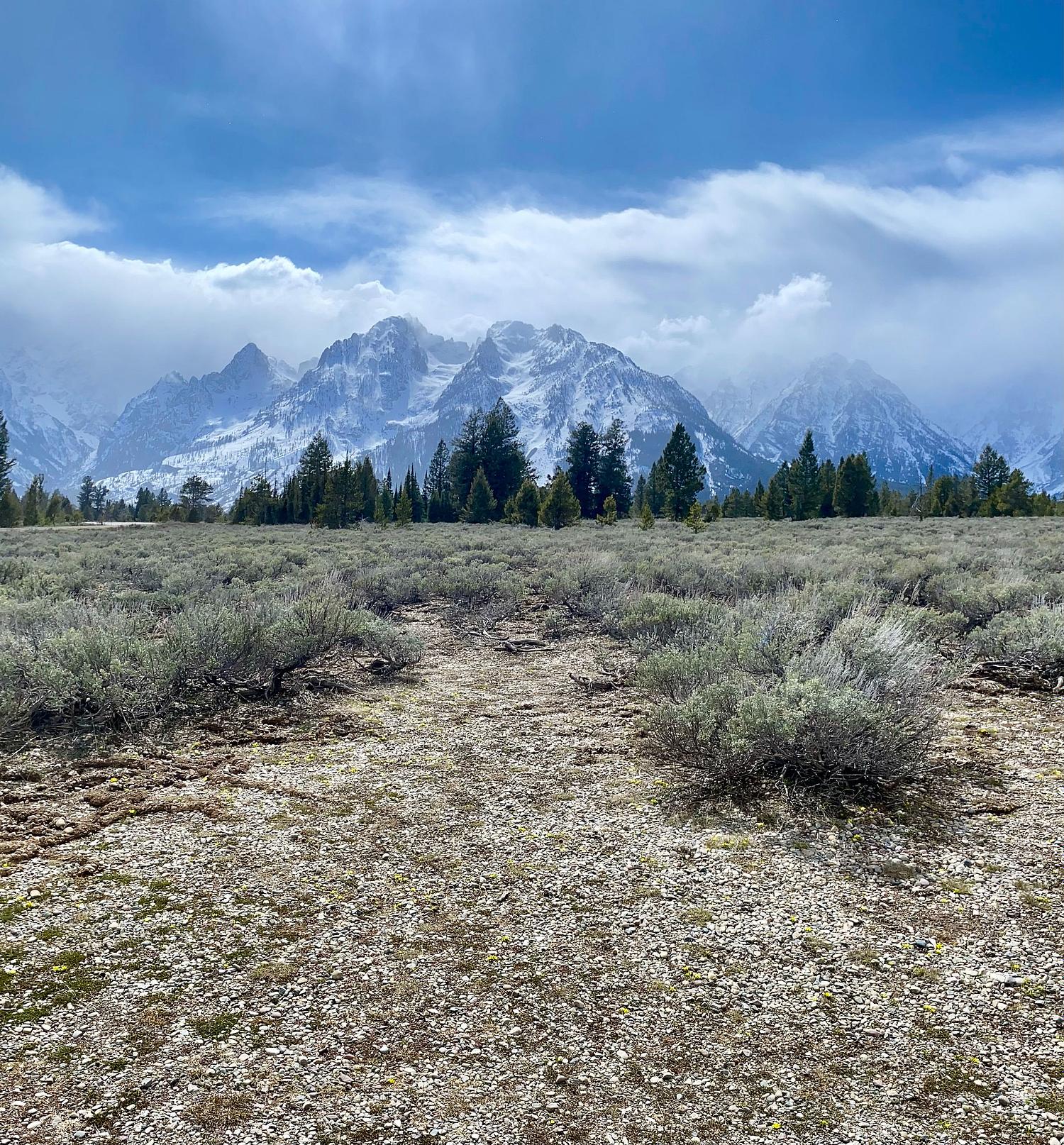 Beyond Measure Gallery