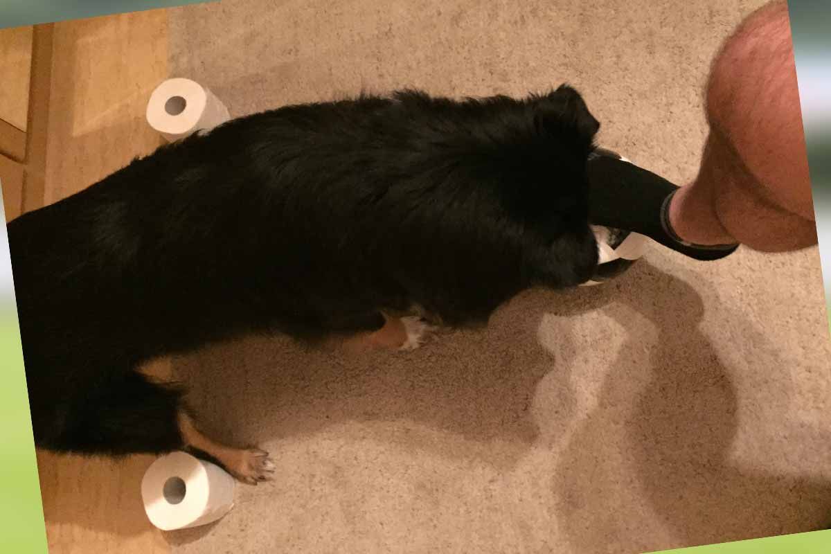 Freundesgruppe wird aktiv: Spieler nominiert nach erfolgreichem Sportfoto bei der Kickers Challenge.